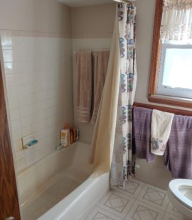 Clinton Township, MI Bathroom Remodel - before